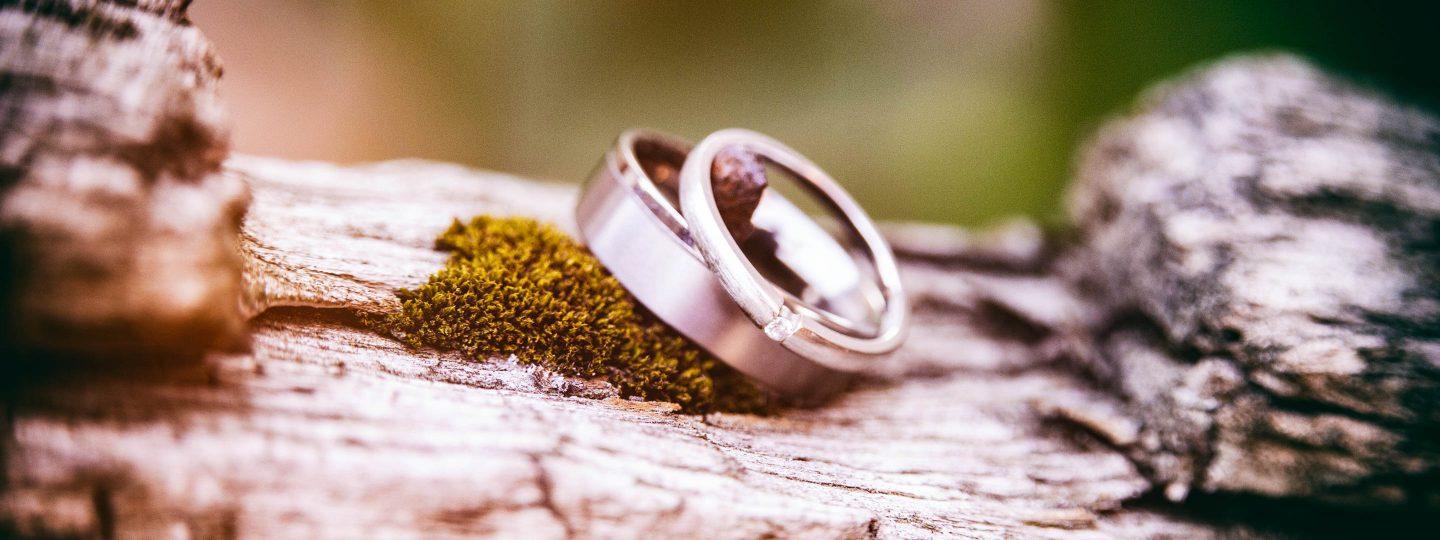 wedding rings on a log